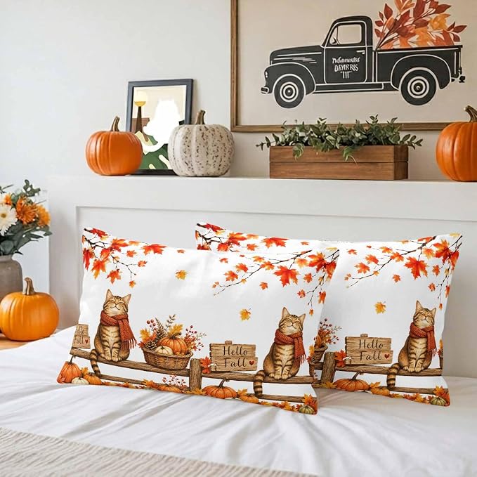 Ginger, Pumpkin, Beige, Crimson