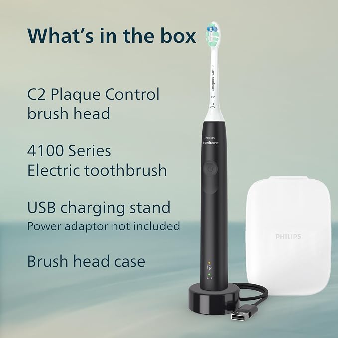 Black + Brush Head Case