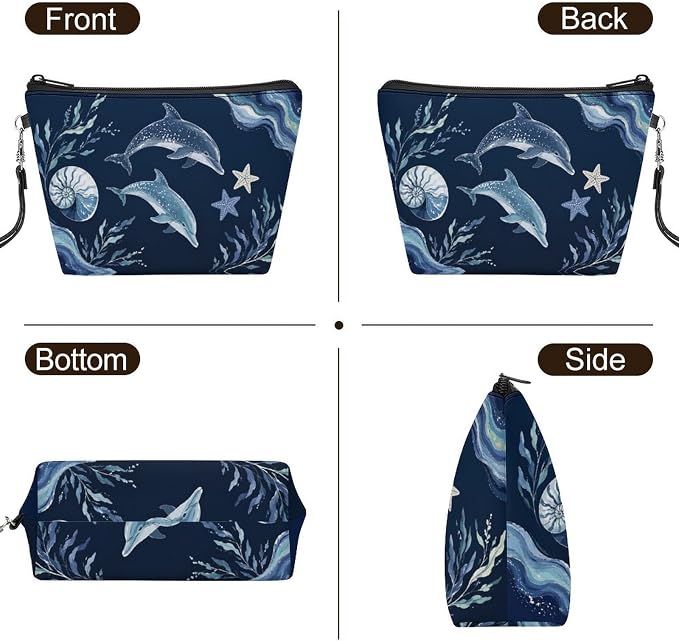 Dolphin Sea Life