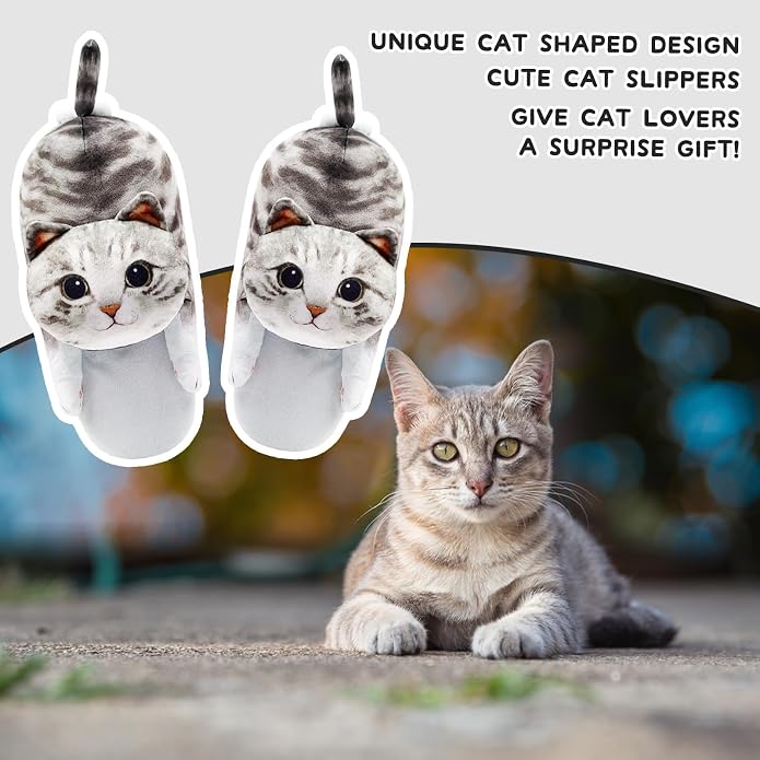 Grey Cat