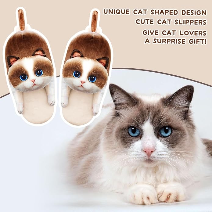 Ragdoll Cat