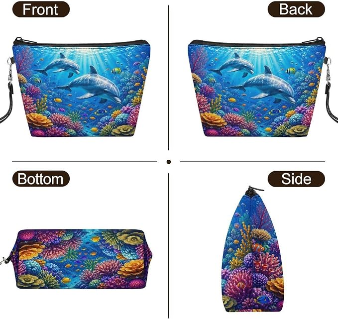 Dolphins Coral Reef Underwater Scene
