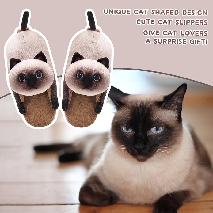 Siamese Cat