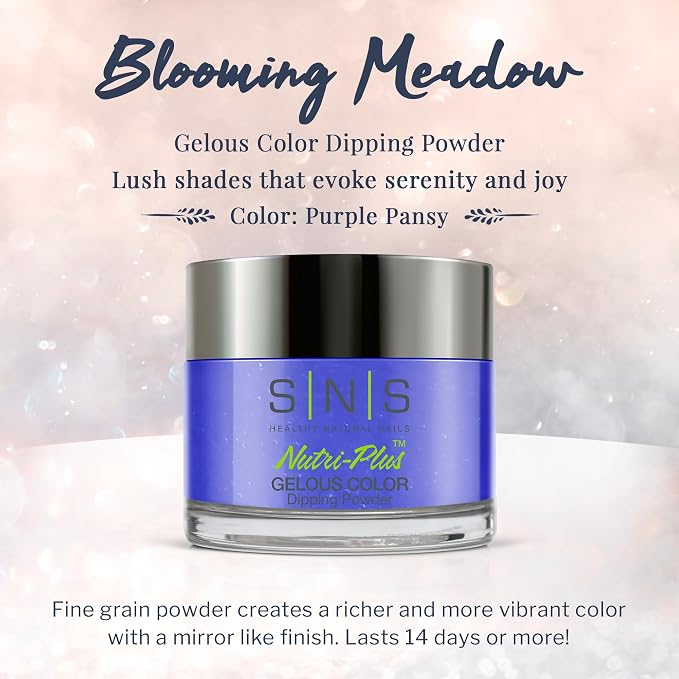 BM11 Purple Pansy