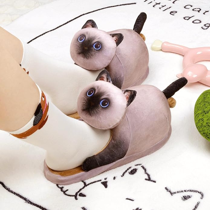 Siamese Cat