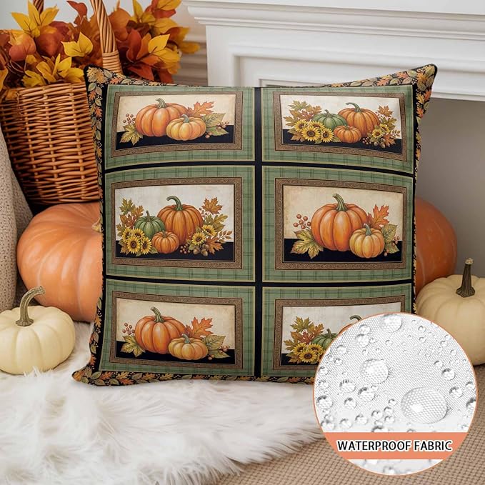 Sage, Pumpkin, Cream Beige, Amber