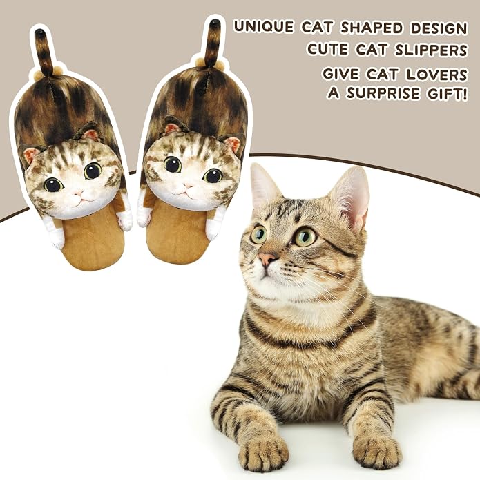 Tabby Cat