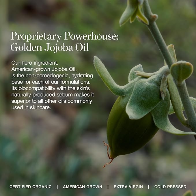 WILLOW 3.00C - Light Medium (Peach Undertones)