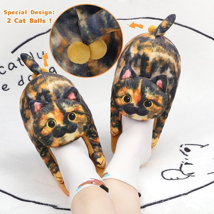 Tortoiseshell Cat