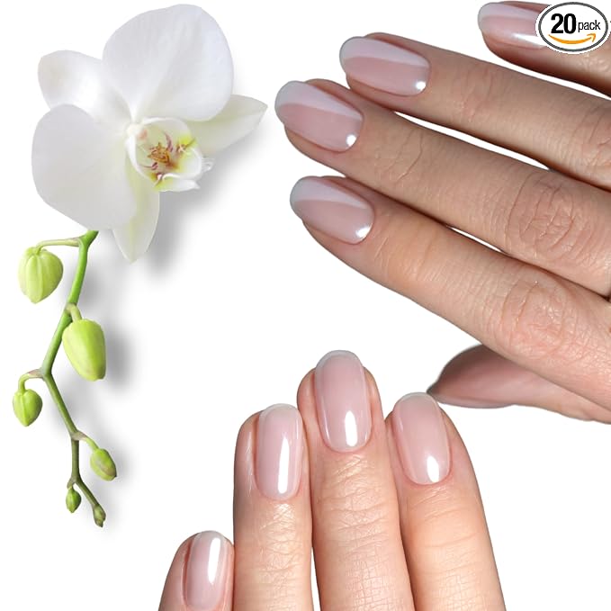 Glazed Orchid