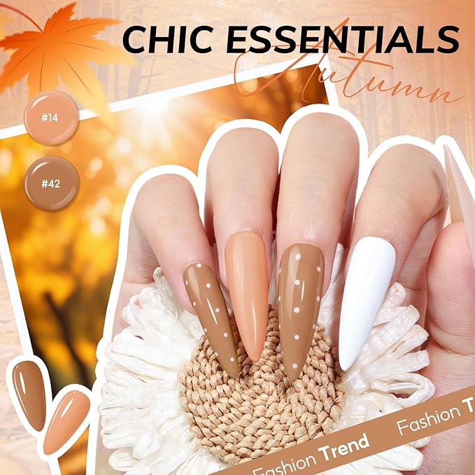 60 Bottles Gel Nail Polish Kit