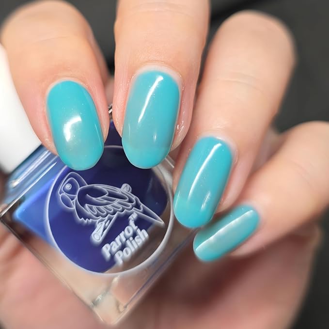 Blue Daisy