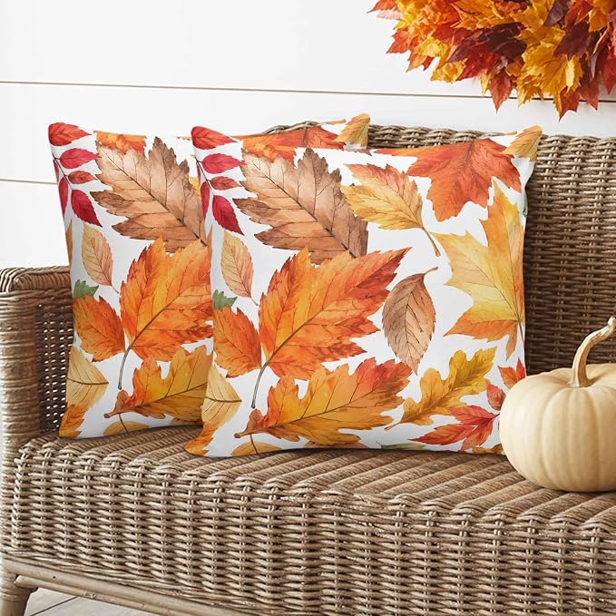 Auburn, Amber, Russet, Maize