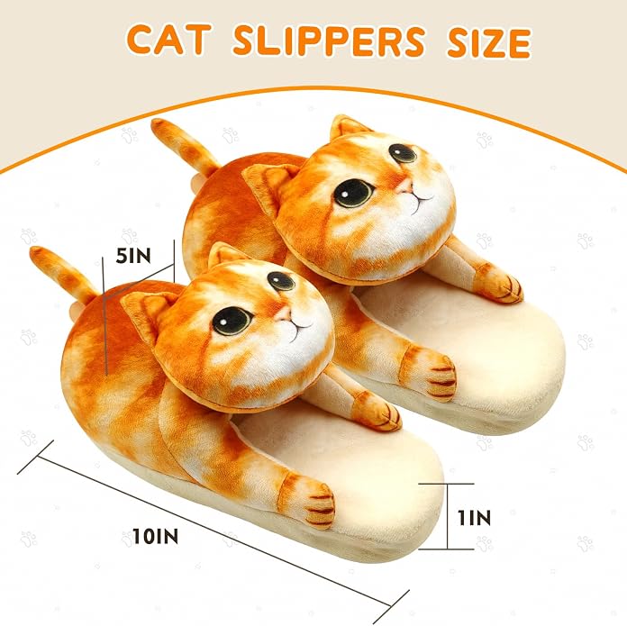 Orange Cat