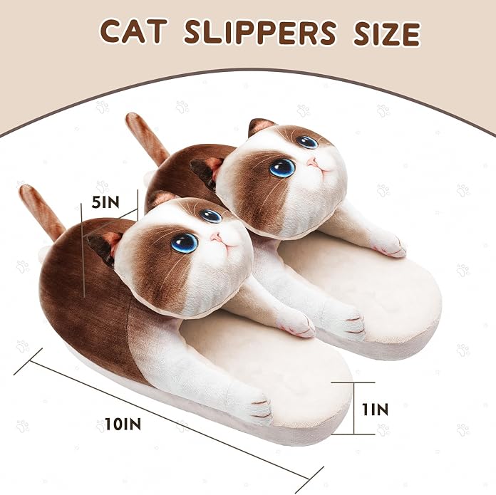 Ragdoll Cat