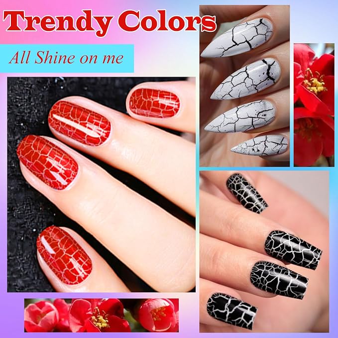 12PCs--Set6
