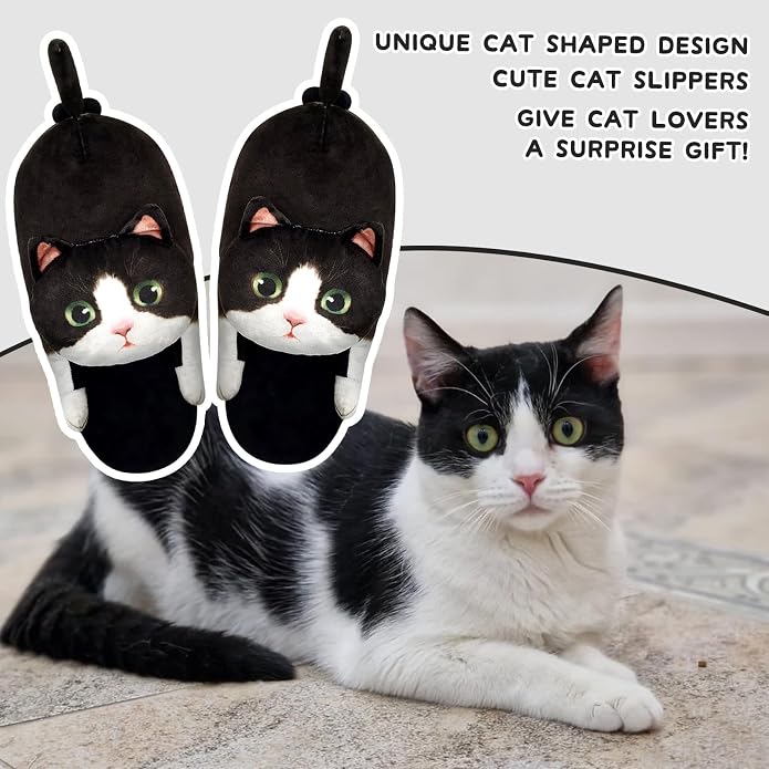 Cow Cat