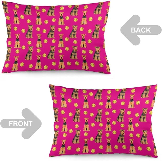 Pattern (542)