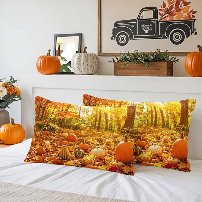Bright Pumpkin, Forest Moss, Harvest Gold, Toasted Almond