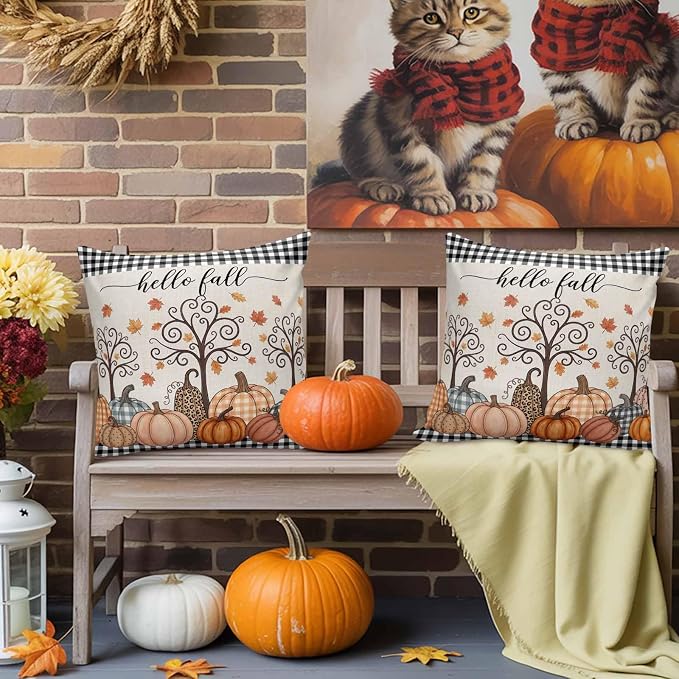 Charcoal, Pumpkin Orange, Cream, Terracotta