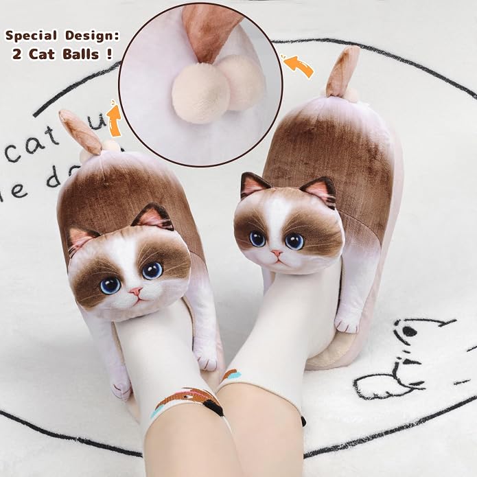 Ragdoll Cat