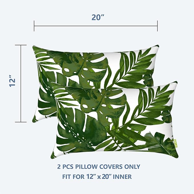 (Pack of 2)