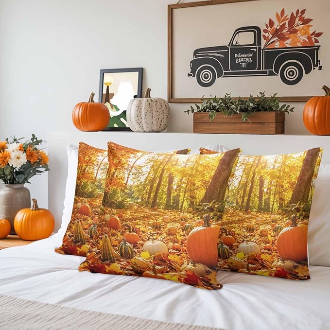 Bright Pumpkin, Forest Moss, Harvest Gold, Toasted Almond