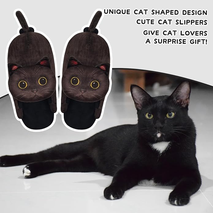 Black Cat