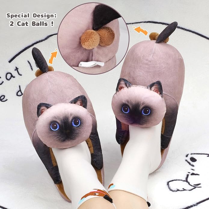 Siamese Cat