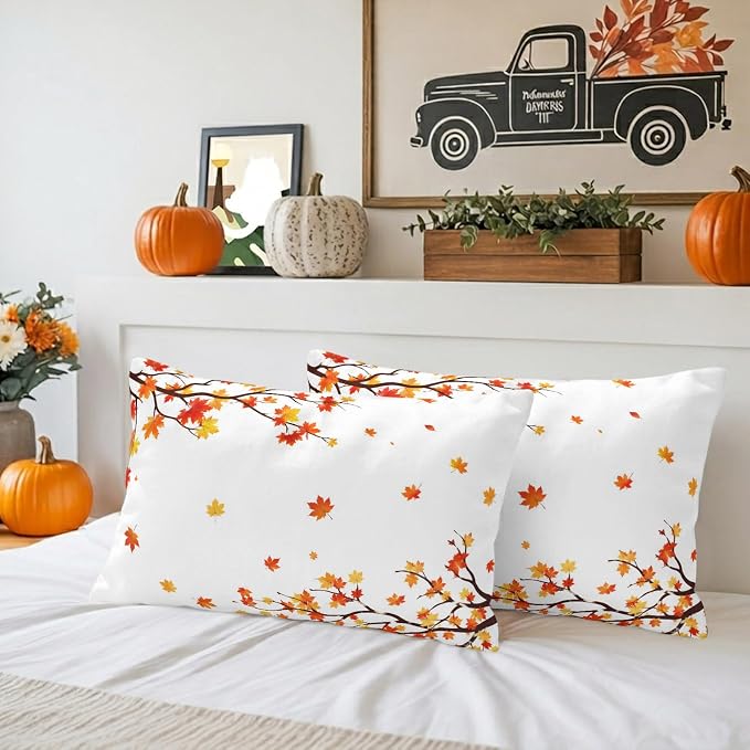 Red, Orange, Gold, White