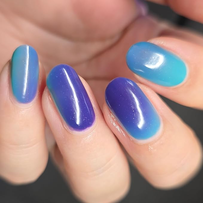 Blue Daisy