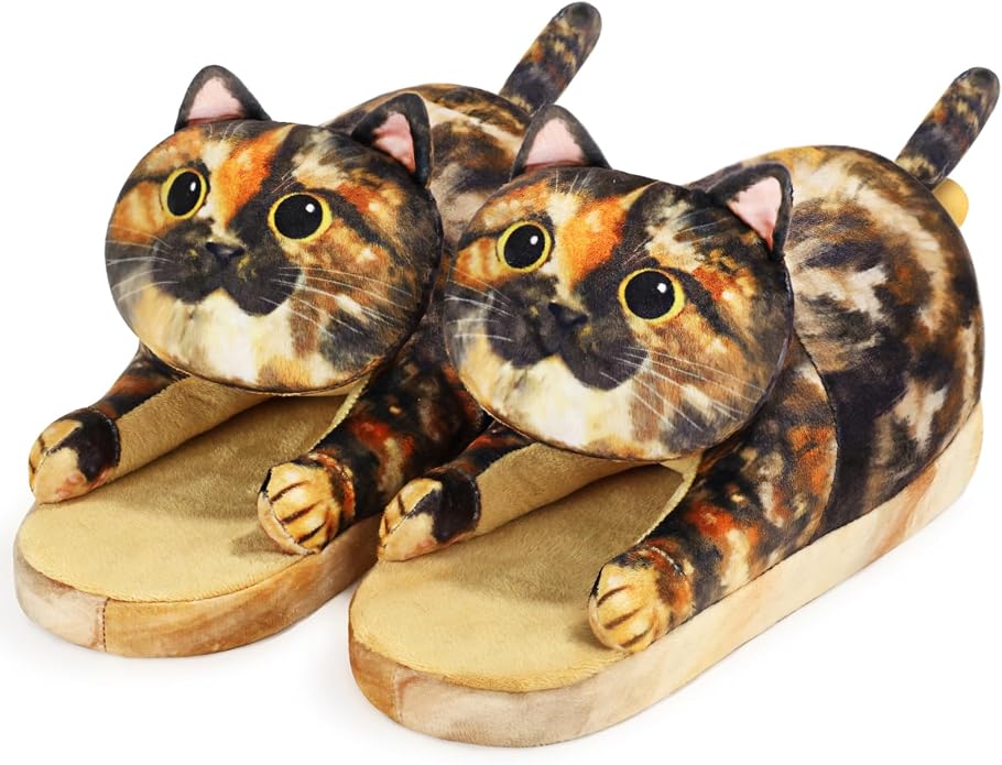 Tortoiseshell Cat