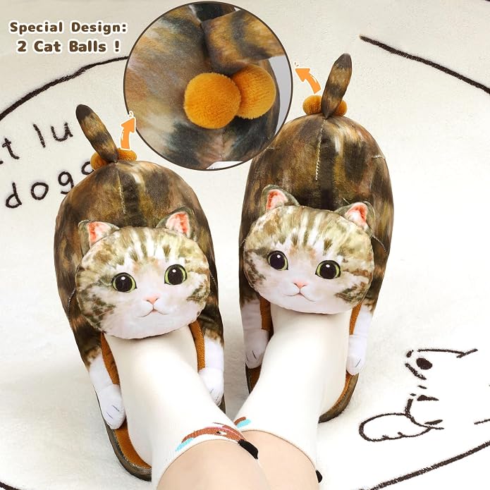 Tabby Cat