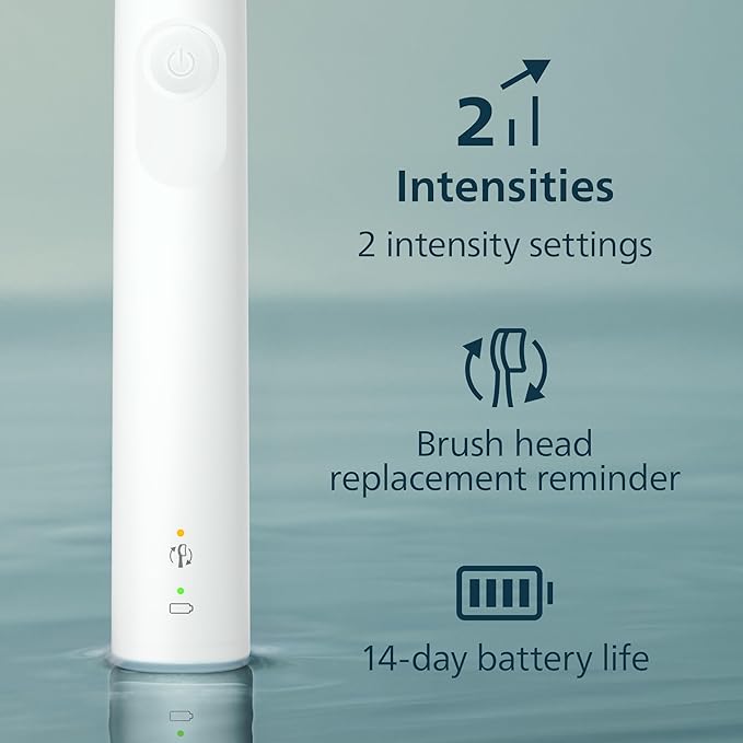 White + Brush Head Case