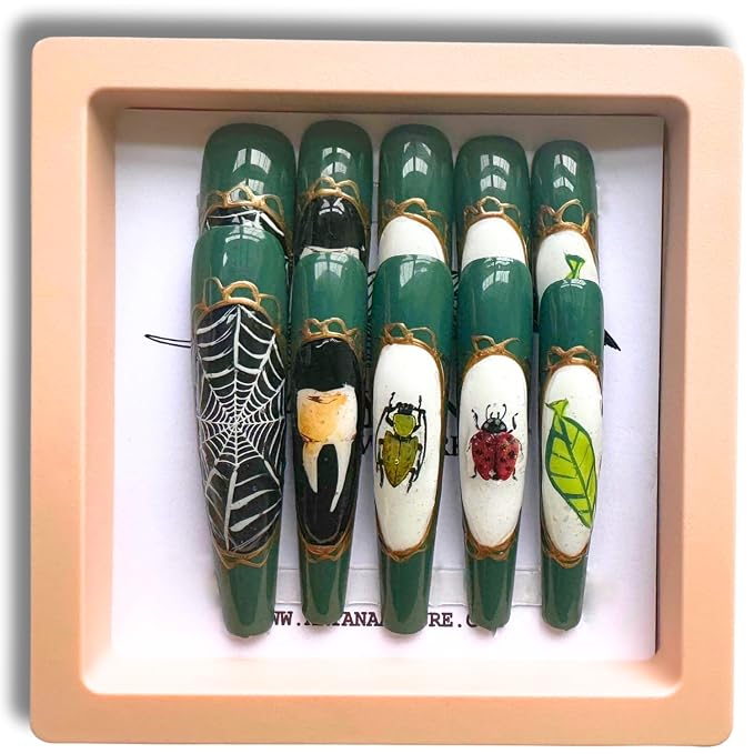 Oddities Beetles Collection