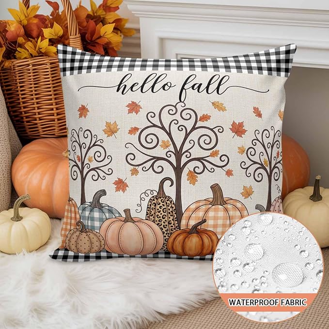 Charcoal, Pumpkin Orange, Cream, Terracotta