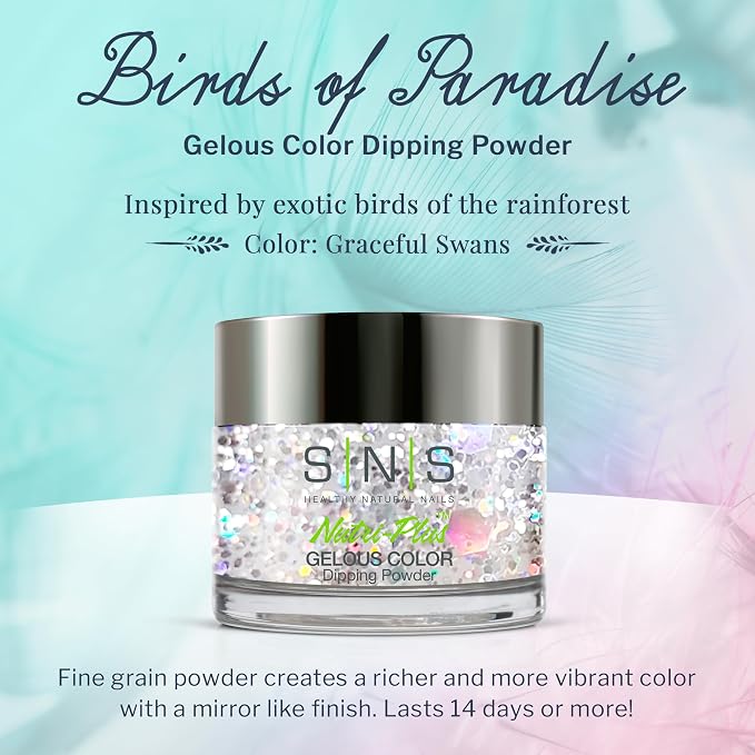BP16 Graceful Swans
