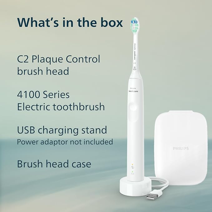 White + Brush Head Case