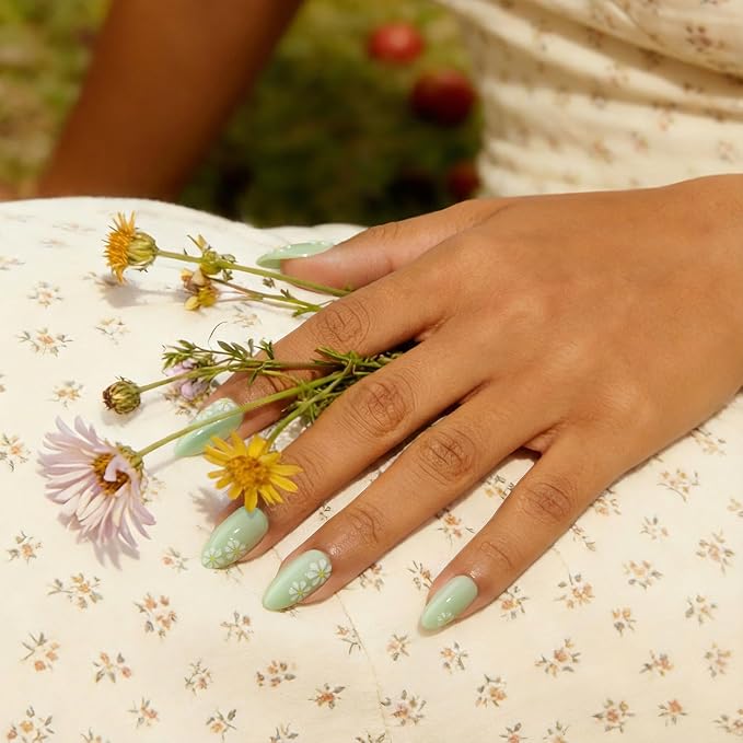 A2-Meadow Daisy