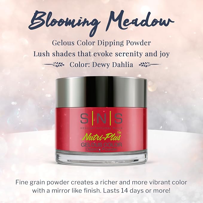 BM10 Dewy Dahlia