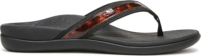 Black Tortoise