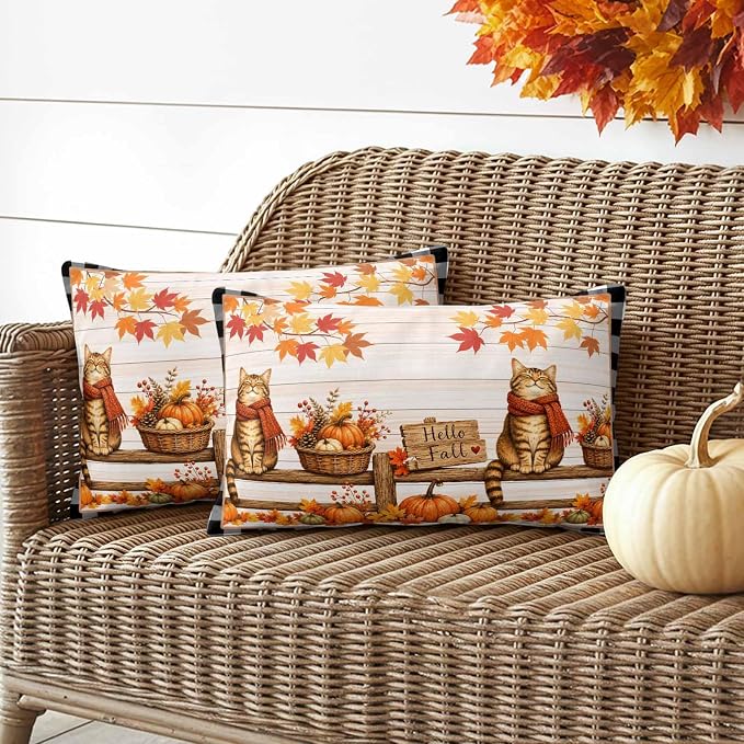 Ginger, Pumpkin Orange, Crimson, Black, White