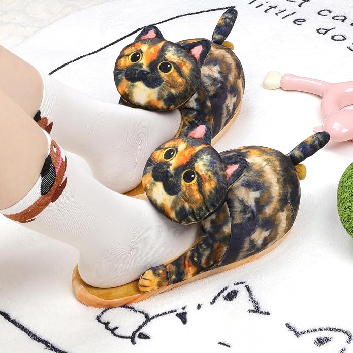 Tortoiseshell Cat