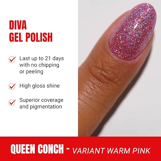 Queen Conch