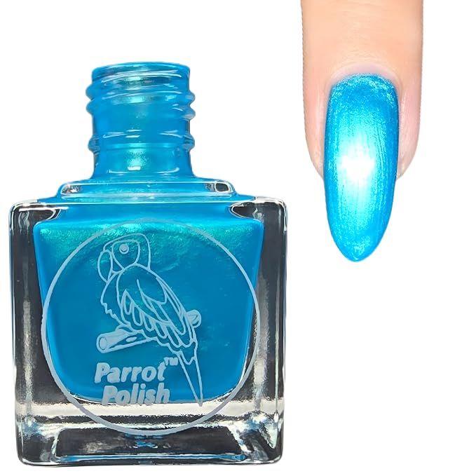 Blue Macaw