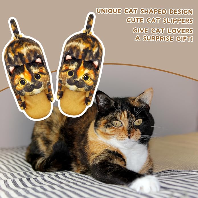 Tortoiseshell Cat