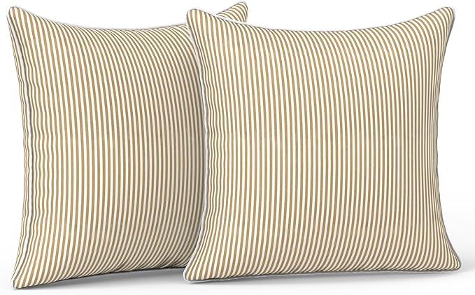 (Pack of 2)
