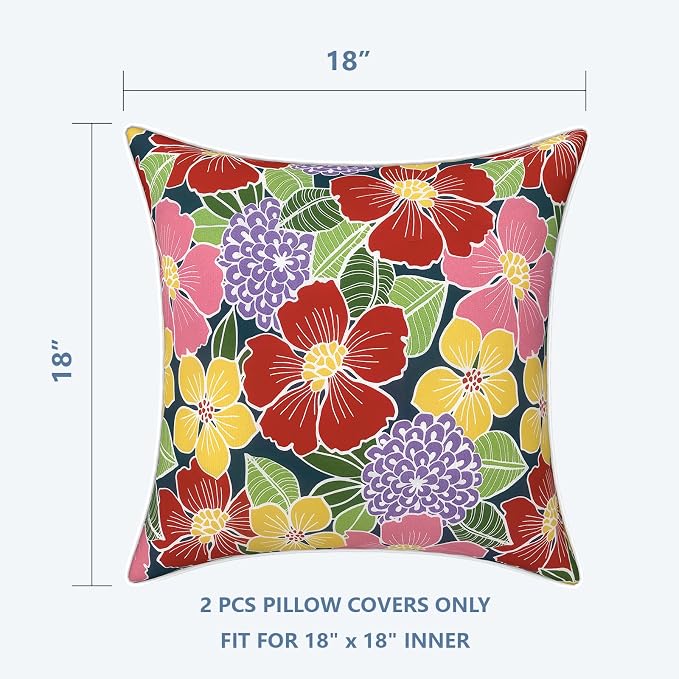 (Pack of 2)