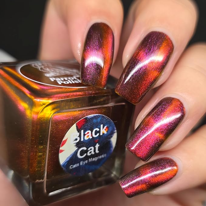 Black Cat