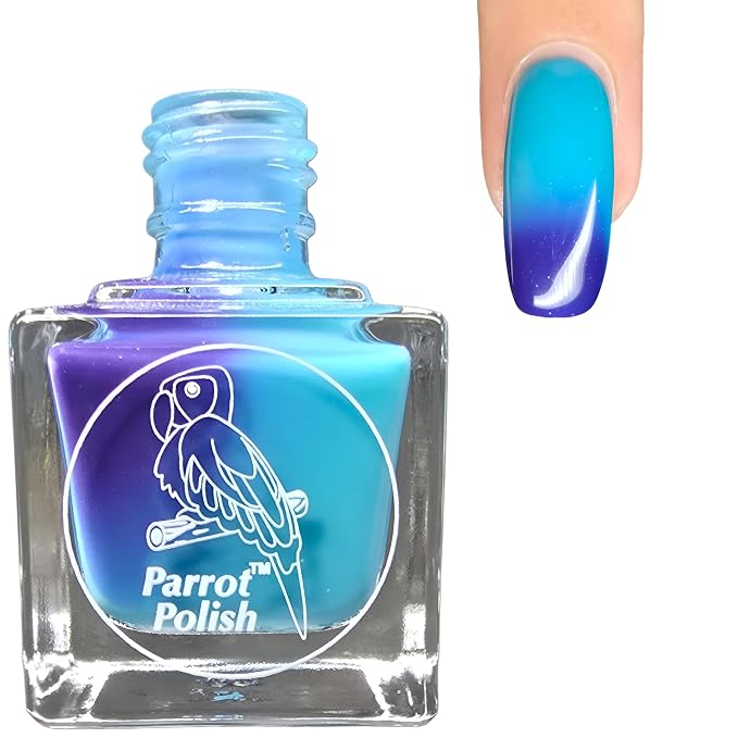 Blue Daisy